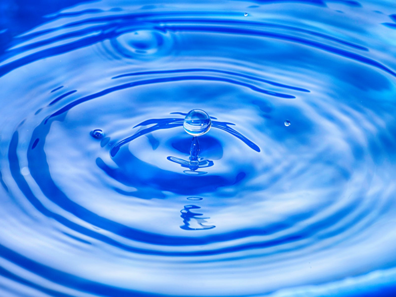 生物毒性水質(zhì)在線監(jiān)測(cè)儀