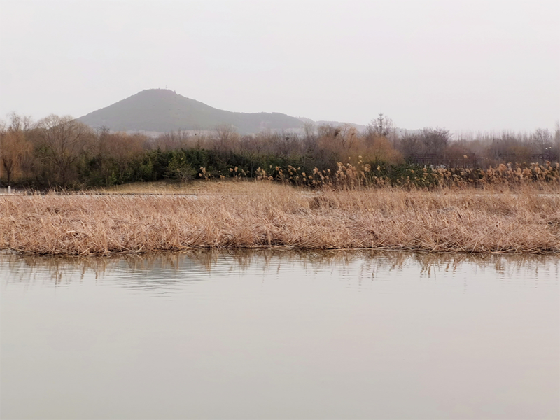 水質氨氮檢測的國標