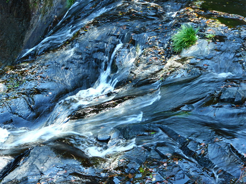 水質重金屬檢測方法