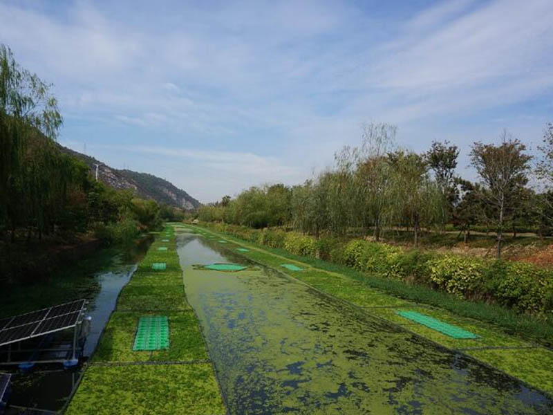 水產(chǎn)養(yǎng)殖中氨氮亞硝酸鹽如何降解 水產(chǎn)養(yǎng)殖中氨氮亞硝酸鹽如何降解