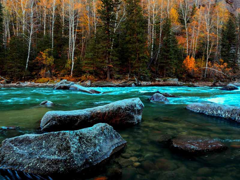 全國開展水生態(tài)監(jiān)測是趨勢