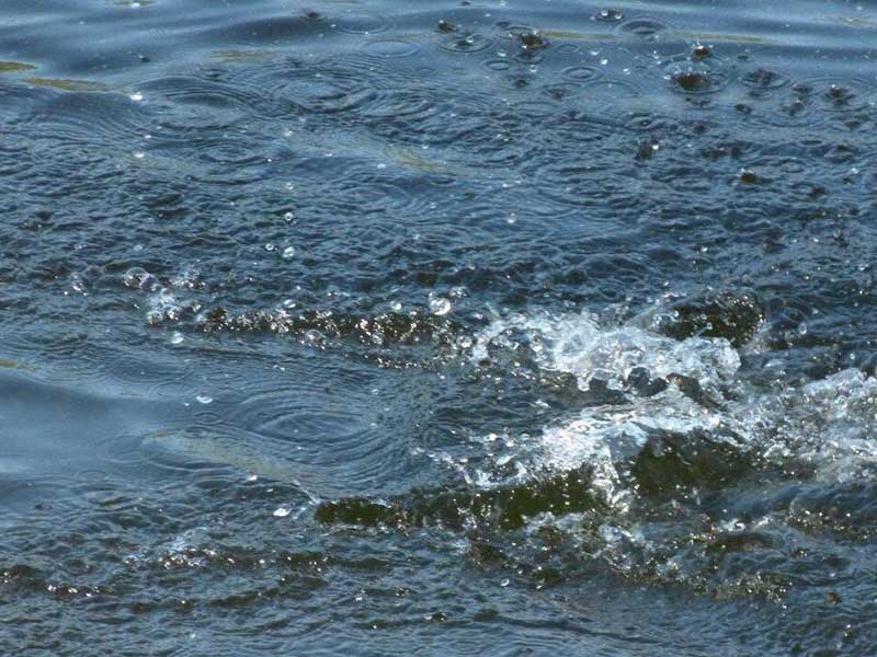 醫(yī)療污水是怎么處理的