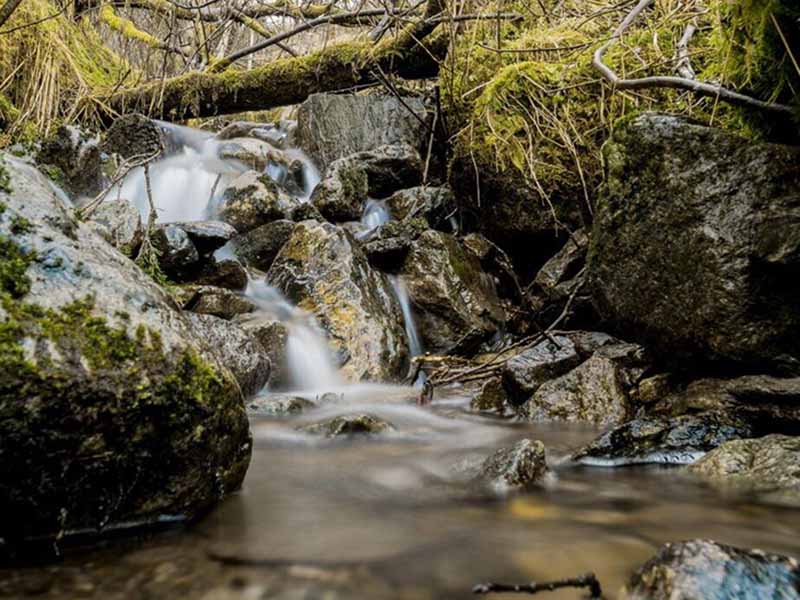 便攜COD氨氮檢測(cè)儀助力廢水檢測(cè)