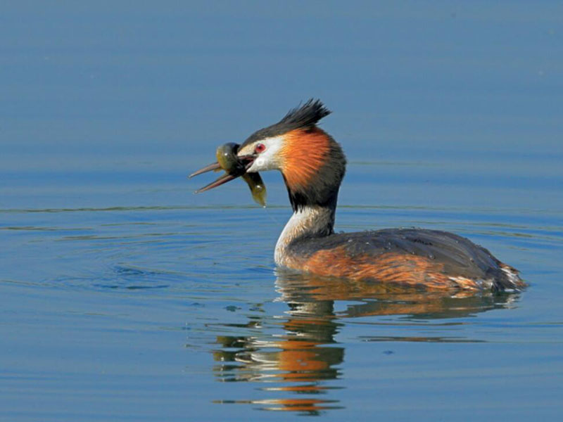 水質(zhì)監(jiān)測在水產(chǎn)養(yǎng)殖中的重要性