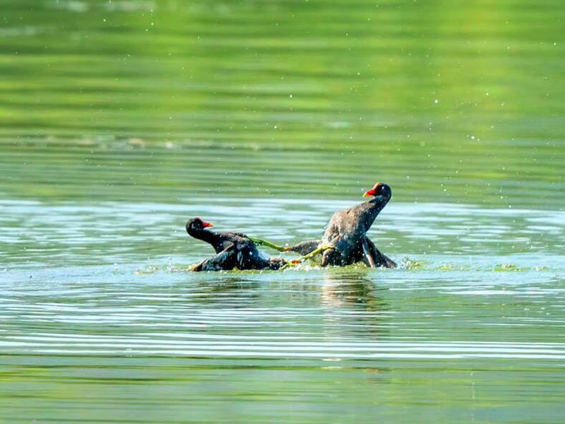 長(zhǎng)江黃河流域地表水水質(zhì)檢測(cè)結(jié)果公示 長(zhǎng)江黃河流域地表水水質(zhì)檢測(cè)結(jié)果公示