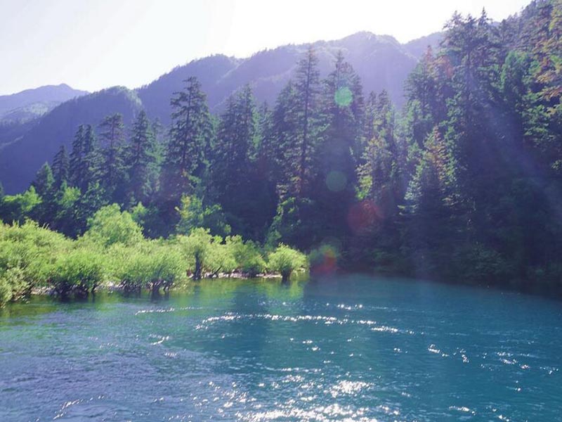 廢水氨氮和COD超標怎么去除 廢水氨氮和COD超標怎么去除