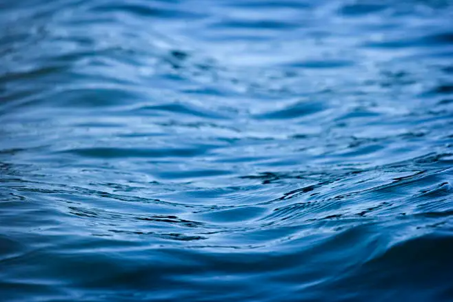 水質(zhì)對生命和人類的重要意義 水質(zhì)對生命和人類的重要意義