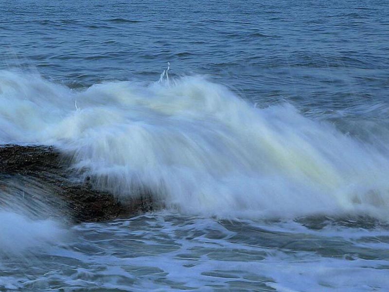 水中微生物檢測儀的測定原理 水中微生物檢測儀的測定原理