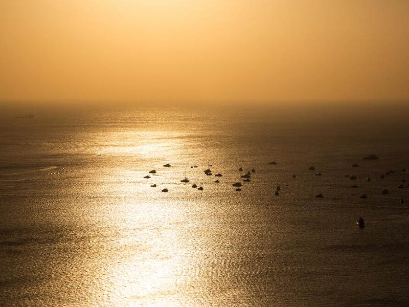 水質(zhì)微生物檢測儀原理依據(jù)