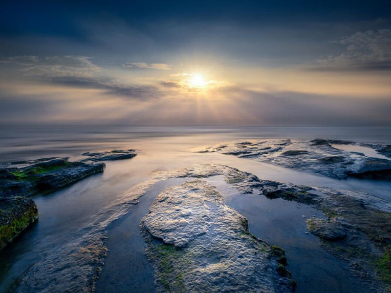 什么是全自動紅外測油儀