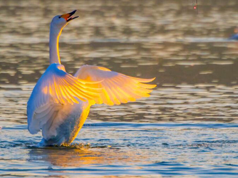 COD氨氮總磷總氮測(cè)定儀常見(jiàn)故障