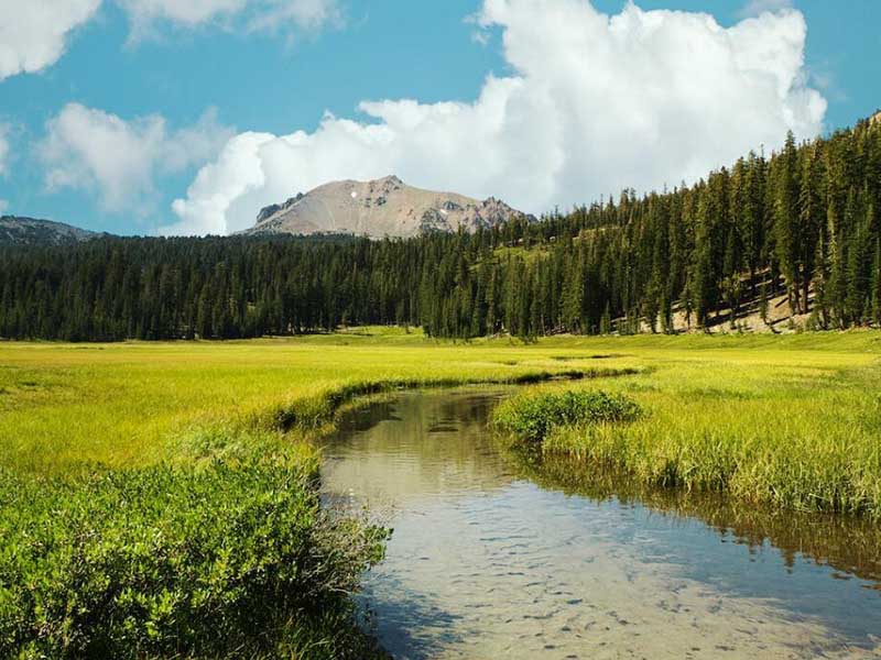 如何選購水質(zhì)硫化物酸化吹氣儀