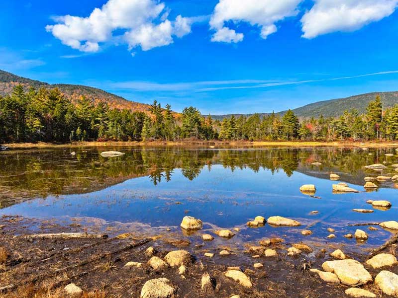 水質(zhì)微生物的檢測(cè)方法