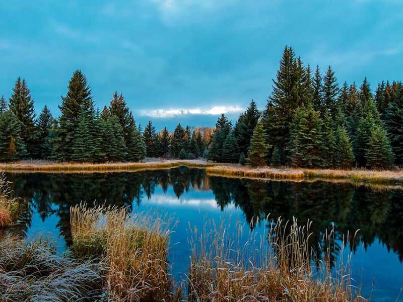 多參數(shù)水質(zhì)檢測儀的作用