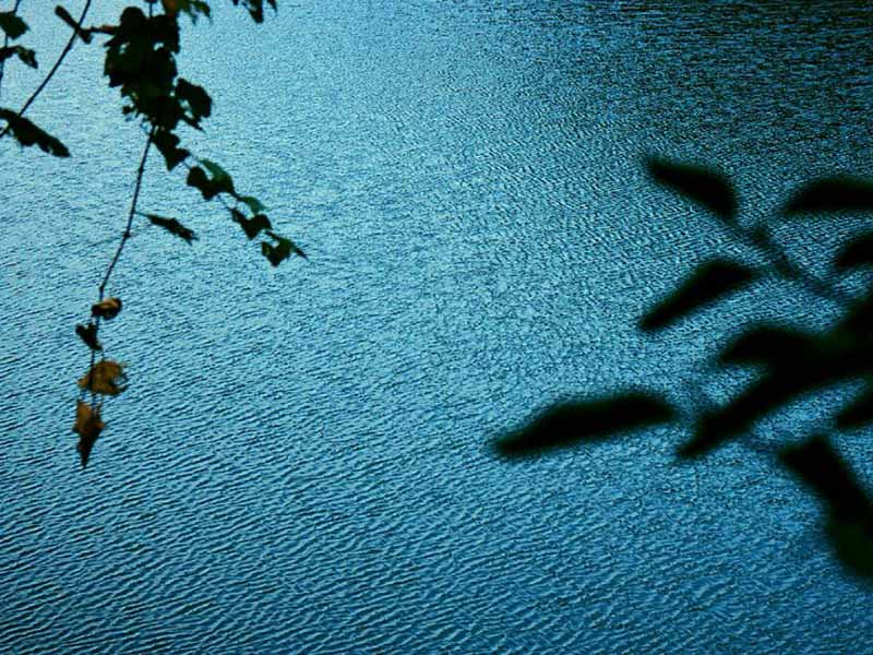 9參數(shù)水質(zhì)檢測(cè)儀工作原理