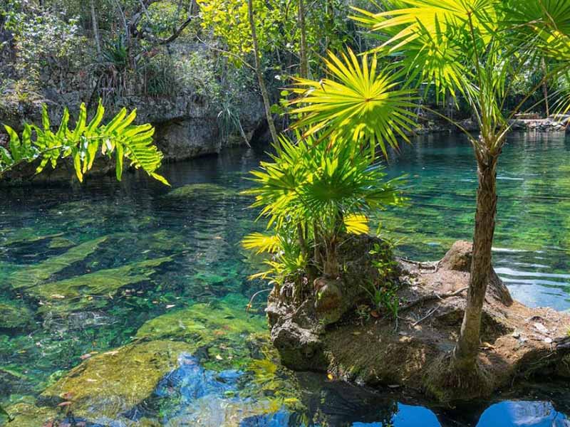 氨氮在線監(jiān)測設(shè)備測量值為零的原因