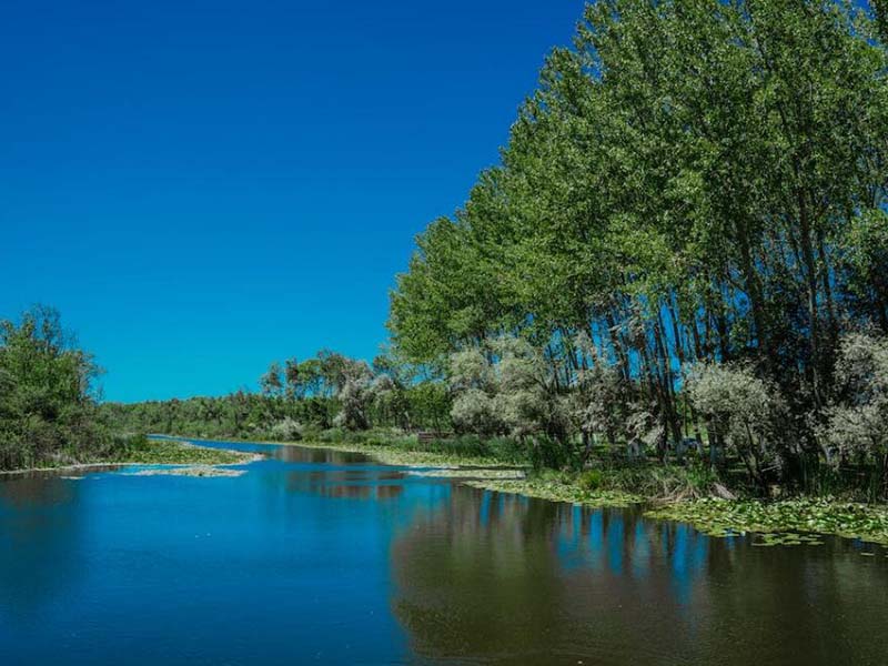 水質(zhì)氰化物測定儀依據(jù)標準