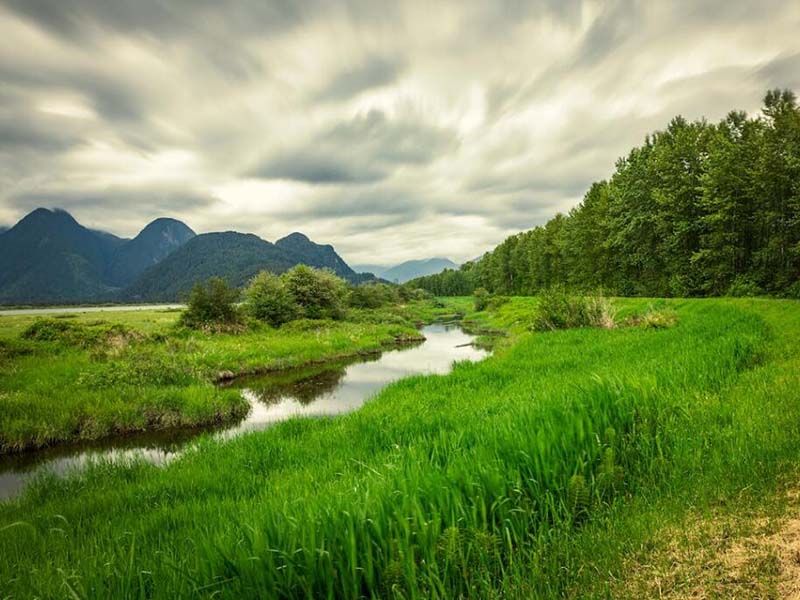 污水氨氮濃度如何測(cè)定