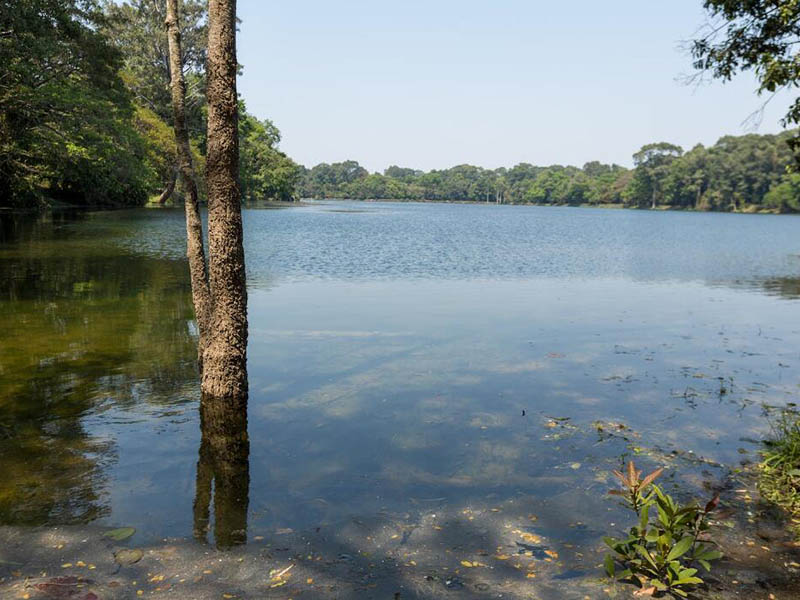 溶解氧檢測(cè)儀測(cè)定原理及其優(yōu)缺點(diǎn)