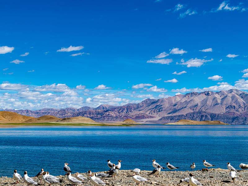 便攜式總氮測(cè)定儀品牌型號(hào)怎么選擇