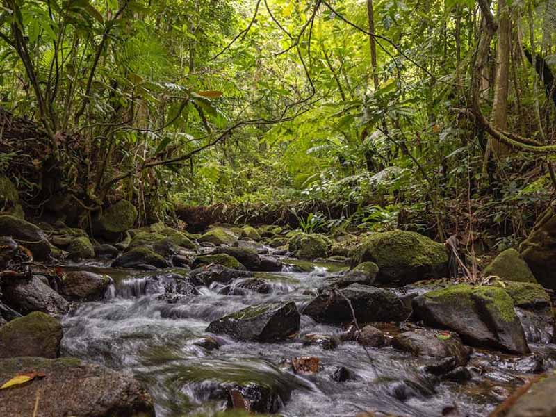 水質(zhì)檢測實驗室廢液應(yīng)該如何處理