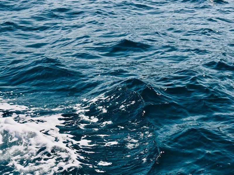 水產(chǎn)養(yǎng)殖溶解氧分析儀優(yōu)勢