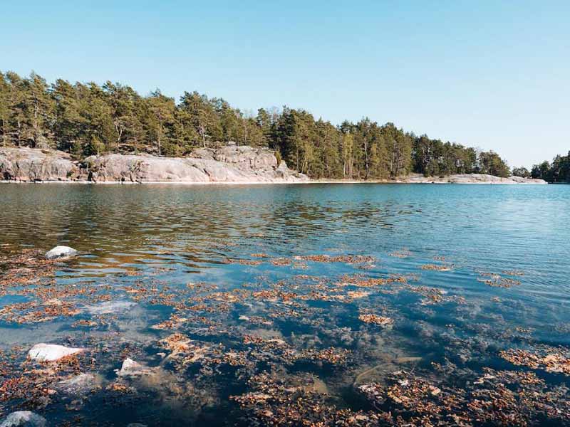 原子熒光法檢測(cè)水中汞的步驟