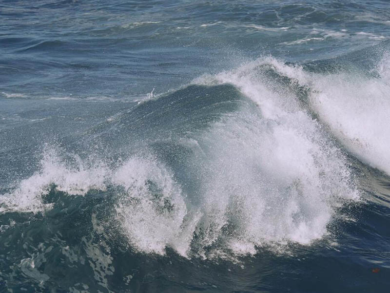 游泳池水質(zhì)檢測的重要指標(biāo)