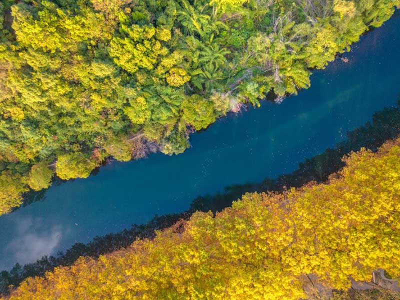 高錳酸鹽指數(shù)是耗氧量嗎
