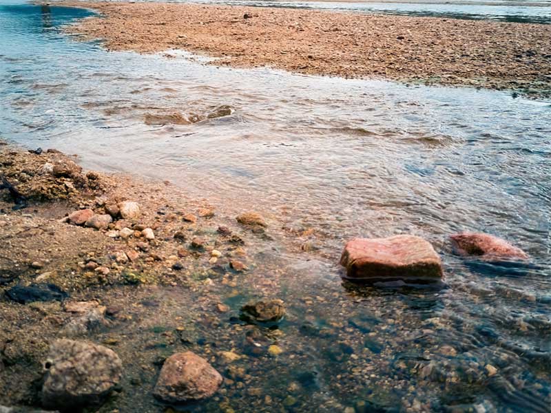 水源微生物污染與飲用水水質(zhì)標準