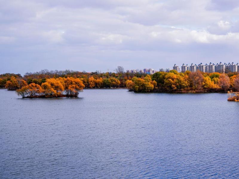 水質(zhì)BOD排放標(biāo)準(zhǔn)