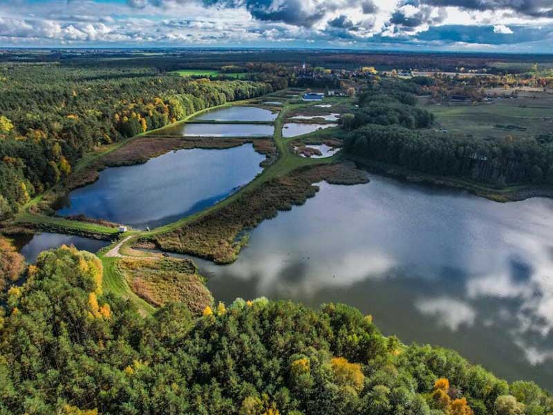 水質(zhì)微生物指標(biāo)及檢測方法