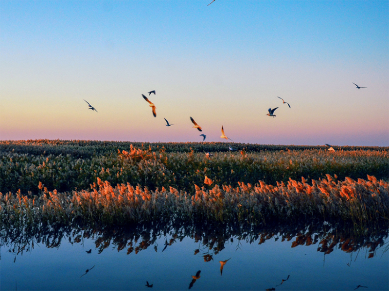 COD測定儀工作原理