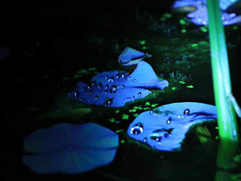 生活飲用水微生物指標有哪些