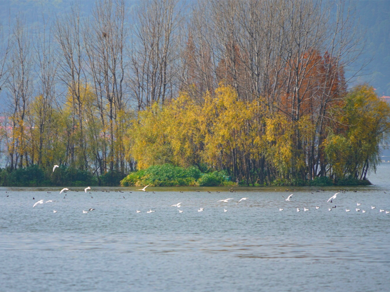便攜式多普勒流量計(jì)工作原理