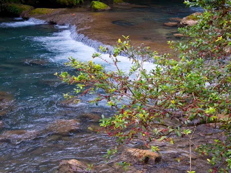 手持式COD檢測儀使用方法
