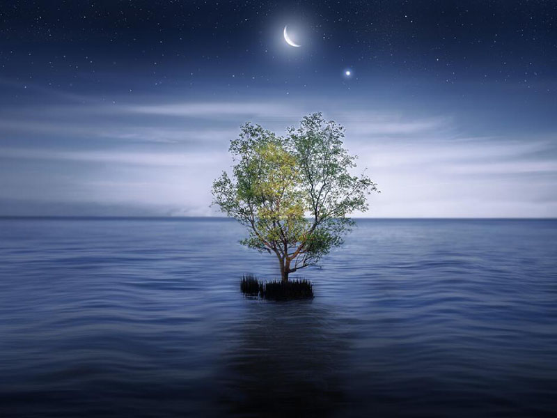 水質(zhì)重金屬砷檢測(cè)標(biāo)準(zhǔn)