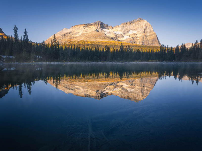 紅外測(cè)油儀如何維護(hù)保養(yǎng)