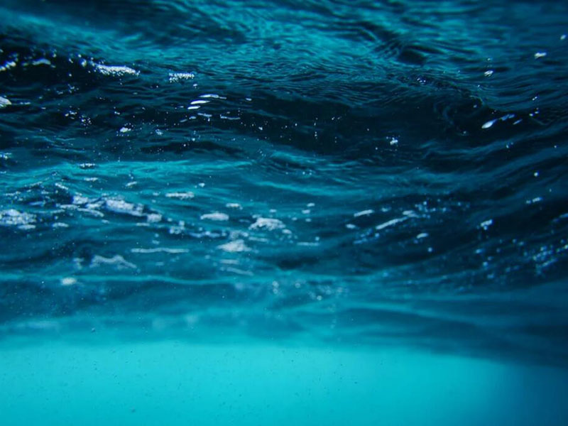 入海河流總氮超標(biāo)原因