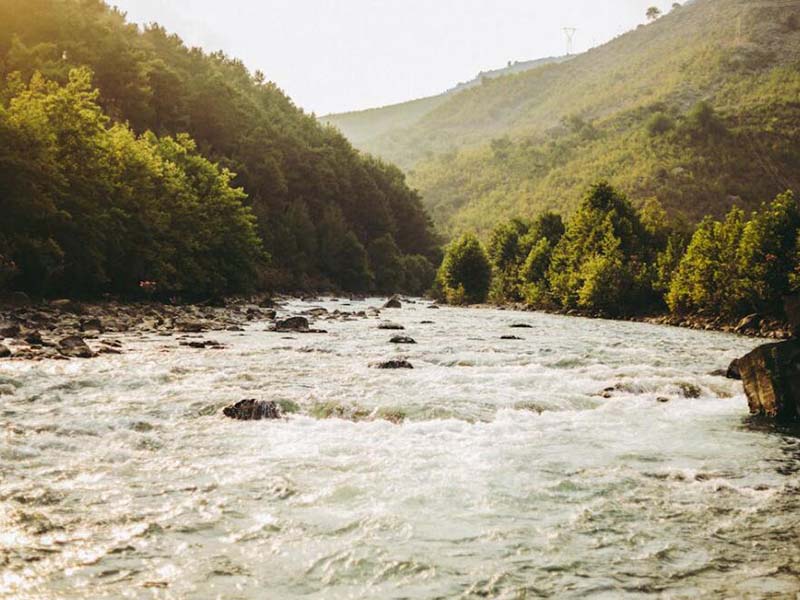 手持式COD檢測(cè)儀價(jià)格