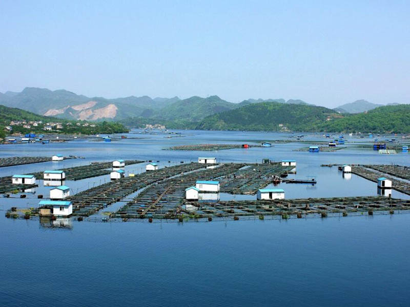 水產(chǎn)養(yǎng)殖水質(zhì)檢測(cè)儀如何選擇