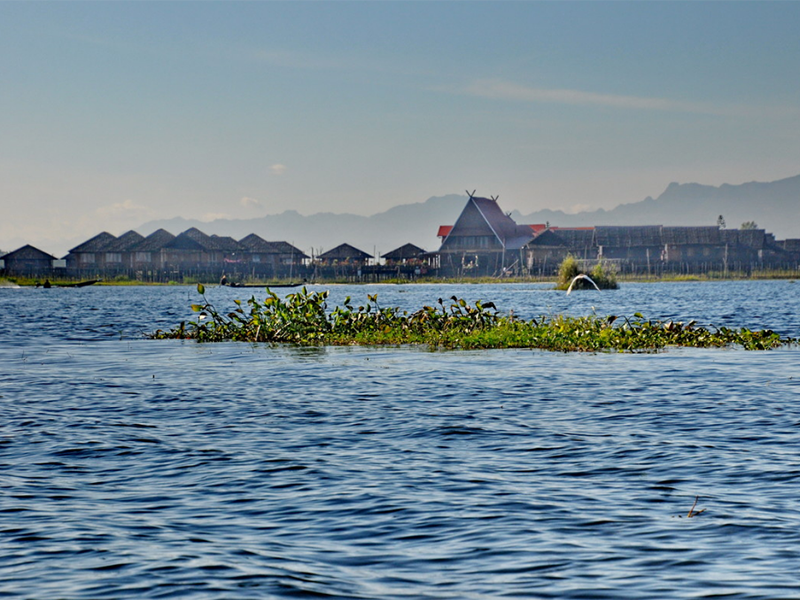 麥氏細菌濁度分析儀操作規(guī)程
