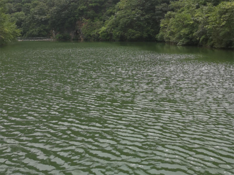 總磷分析儀測量原理