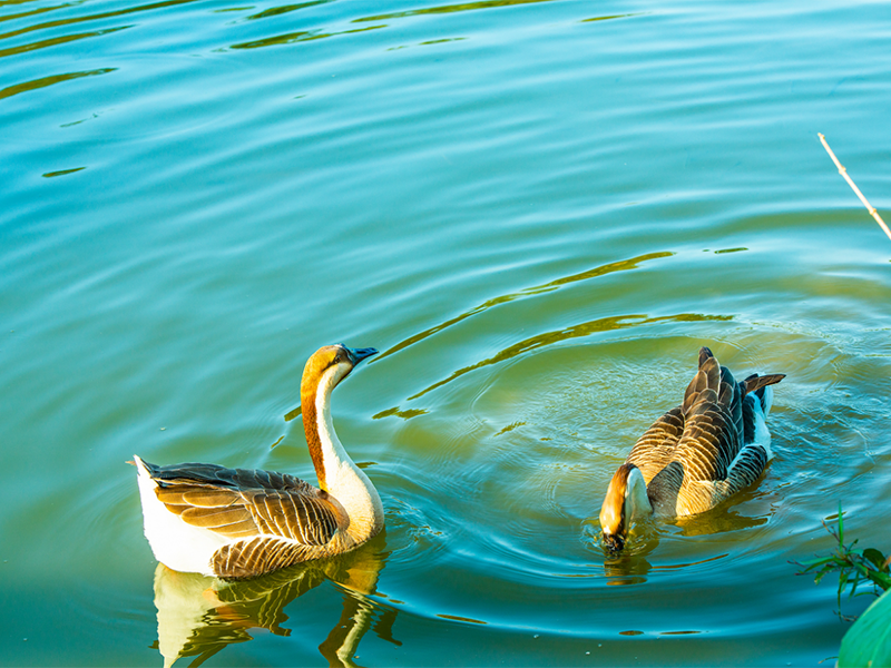 COD測定儀具體使用步驟