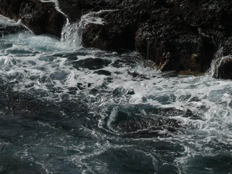 汛期水體濁度高對(duì)供水廠的影響