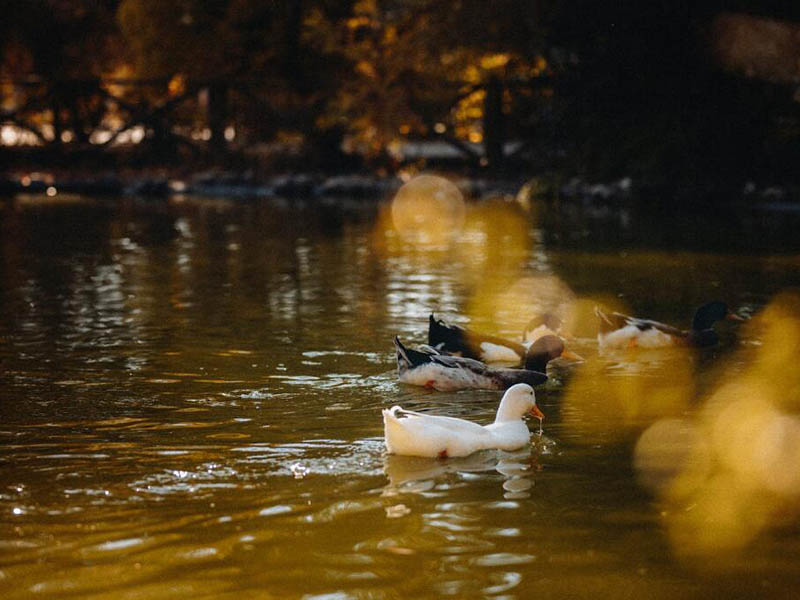 COD在線分析儀常見(jiàn)使用問(wèn)題