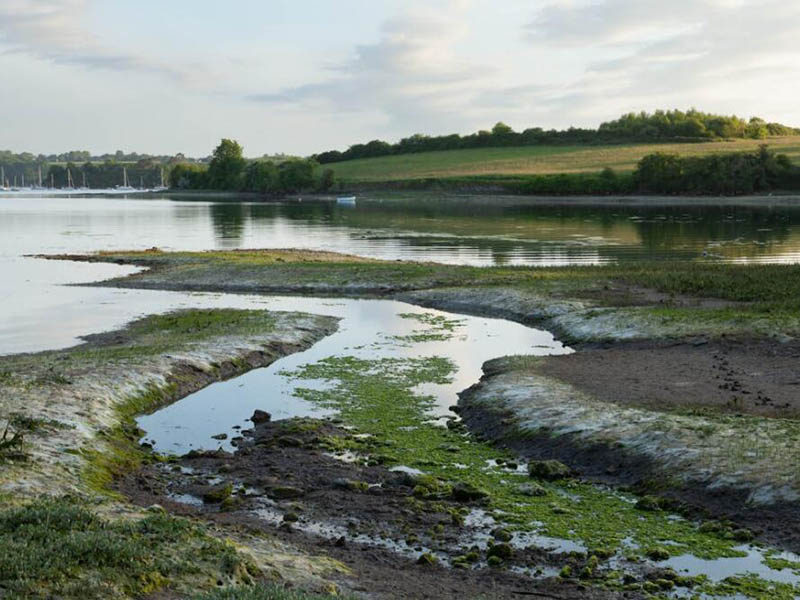標(biāo)準(zhǔn)曲線是什么